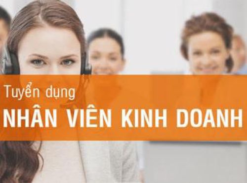 Tuyển dụng nhân viên kinh doanh Web4s